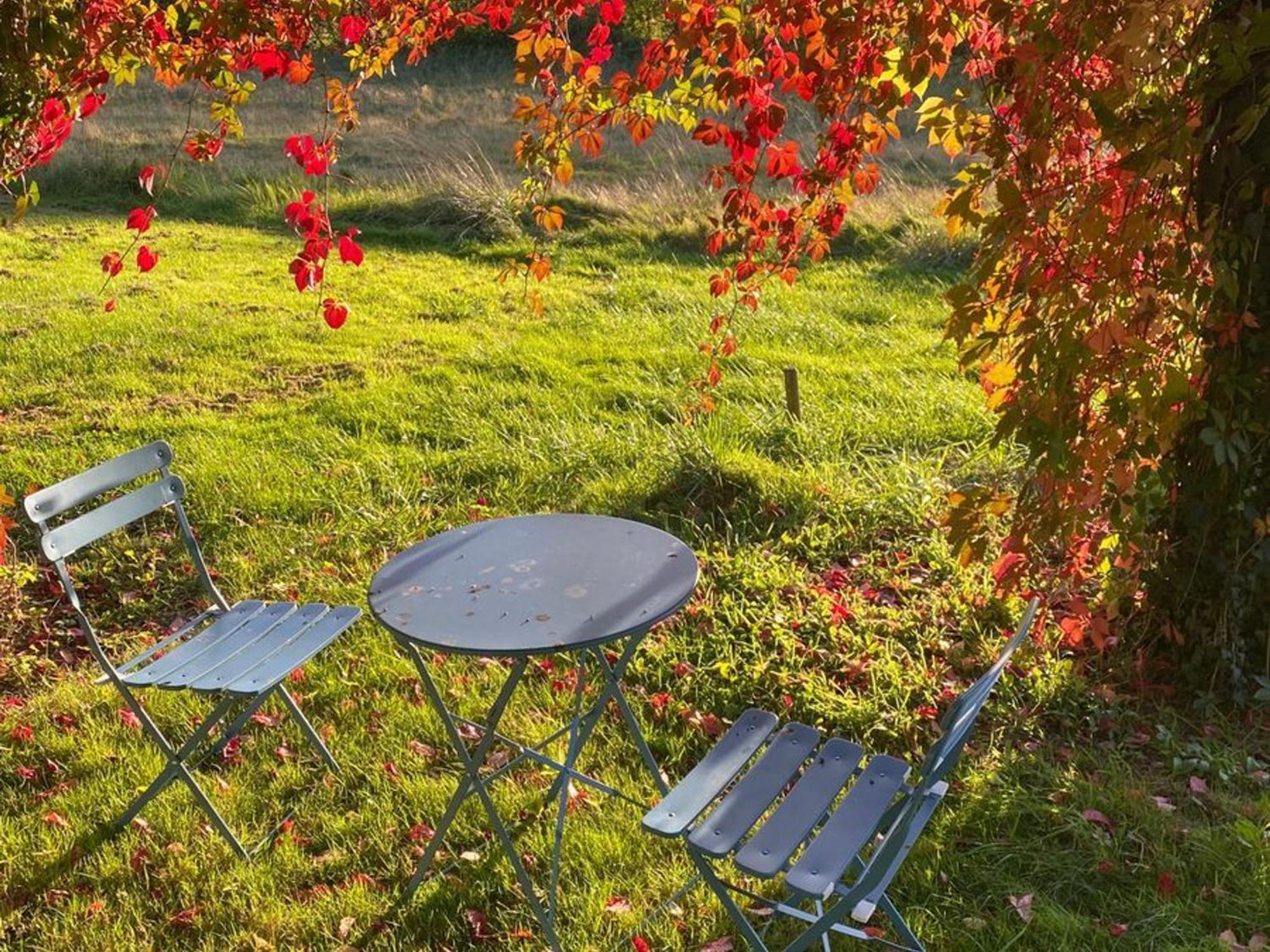 Moulins-le-Carbonnel Gite Ecologique Familial En Campagne, Ideal Pour Sports Et Nature - Fr-1-410-452ヴィラ エクステリア 写真